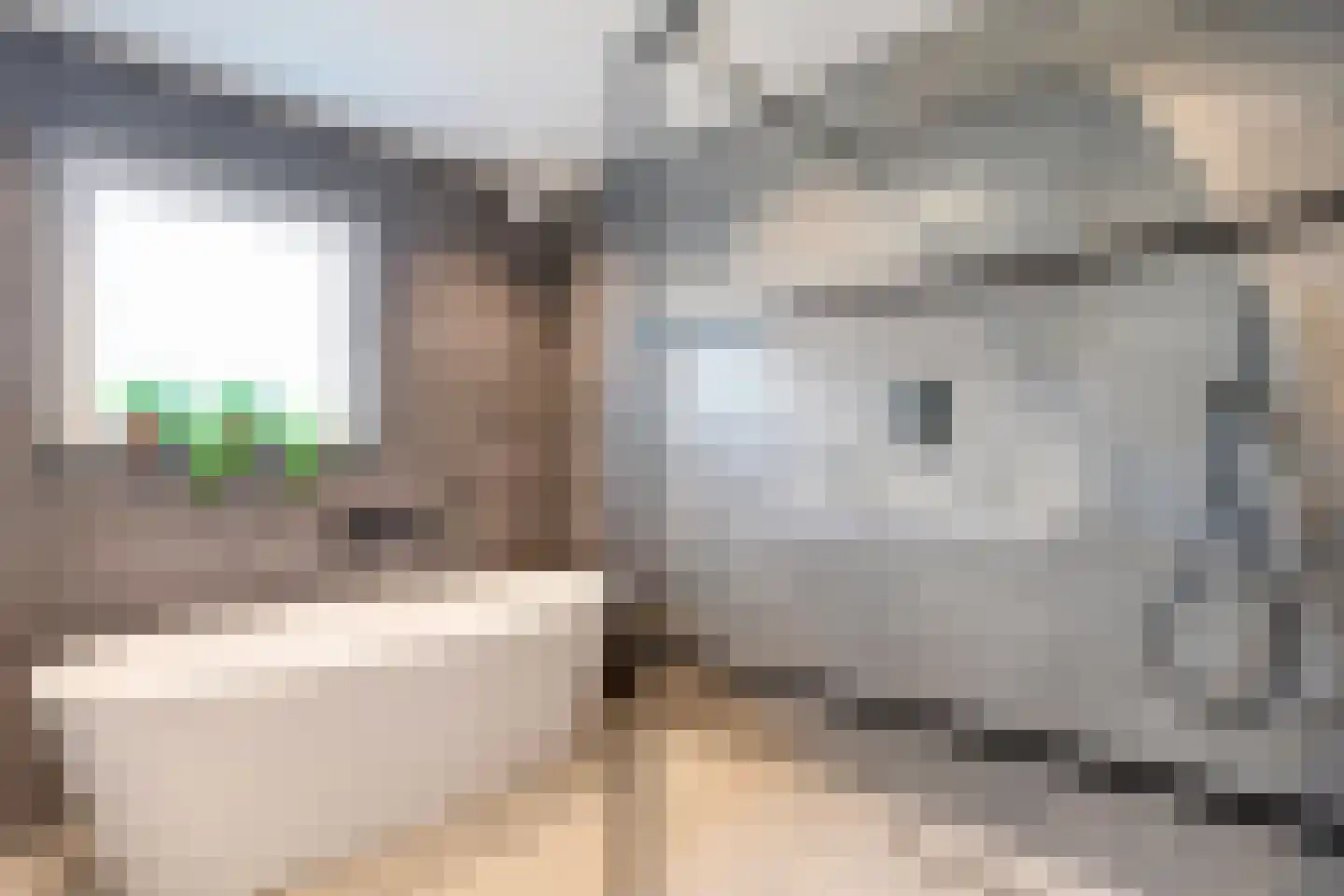 Schie 40 Zwolle thumbnail 24