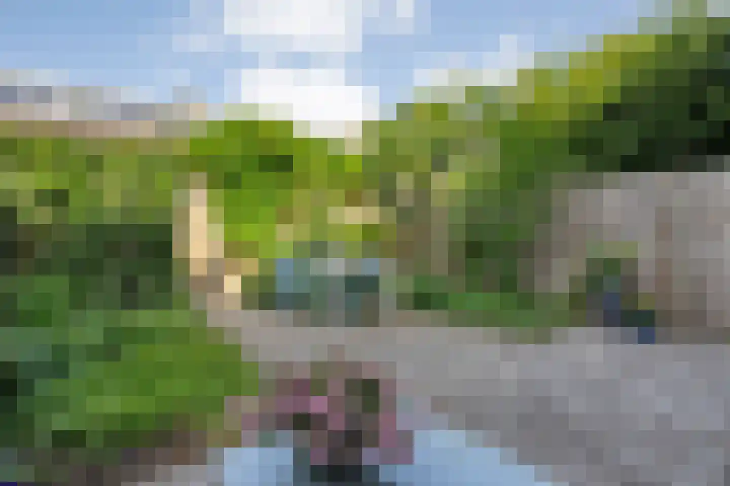 Schie 40 Zwolle thumbnail 39