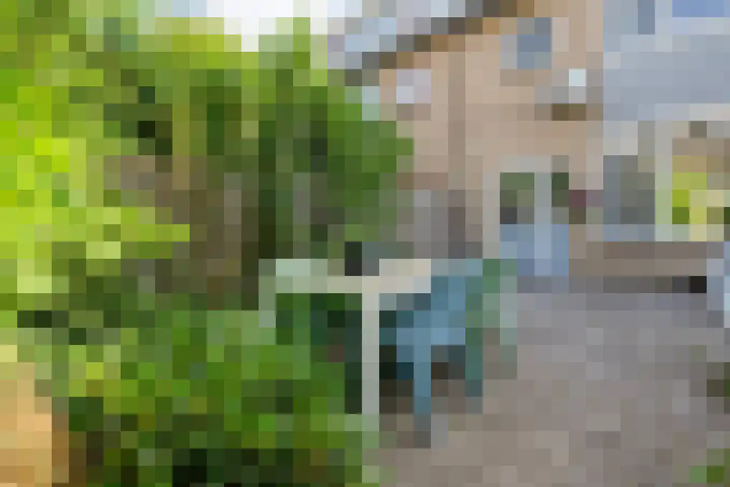 Schie 40 Zwolle thumbnail 41