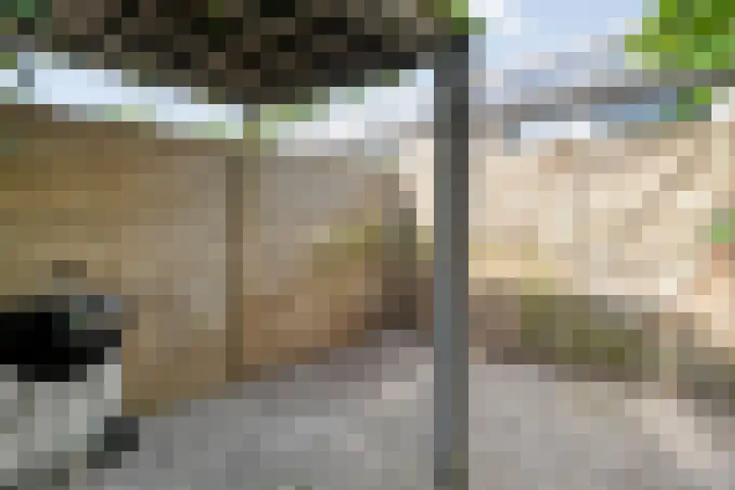 Schie 40 Zwolle thumbnail 43