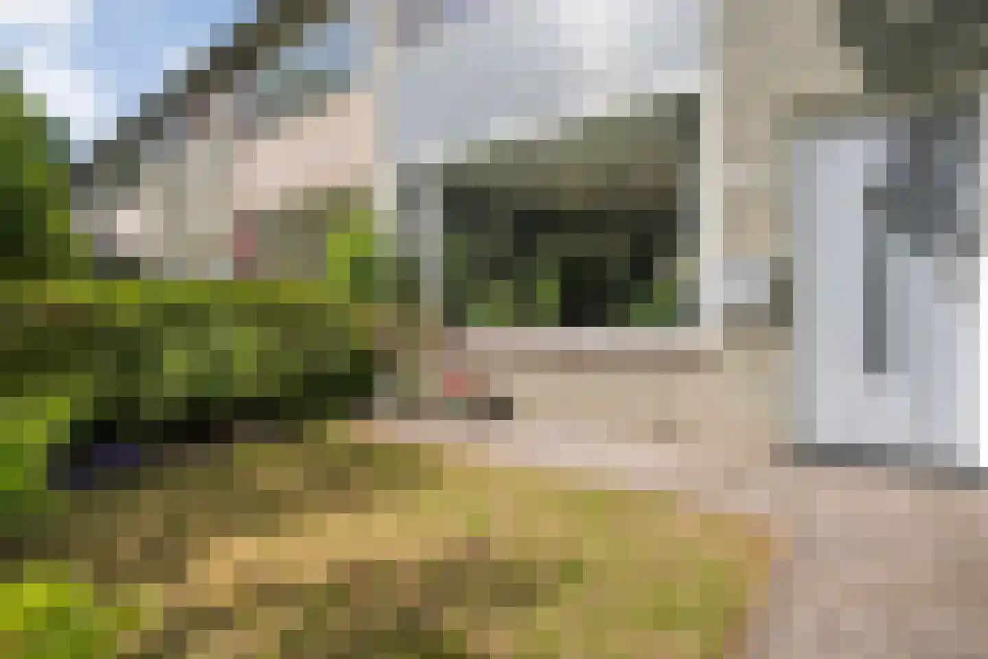 Schie 40 Zwolle thumbnail 44