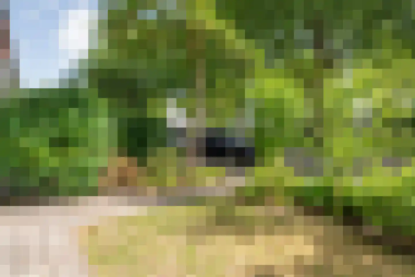 Schie 40 Zwolle thumbnail 45