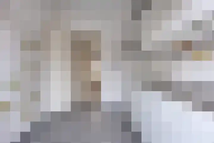 Schie 42 Zwolle thumbnail 10