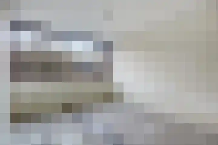 Schie 42 Zwolle thumbnail 14