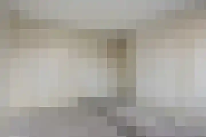 Schie 42 Zwolle thumbnail 15