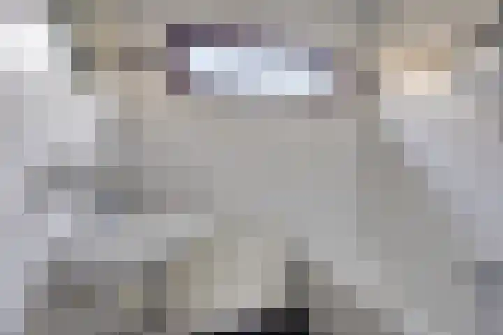 Schie 42 Zwolle thumbnail 16