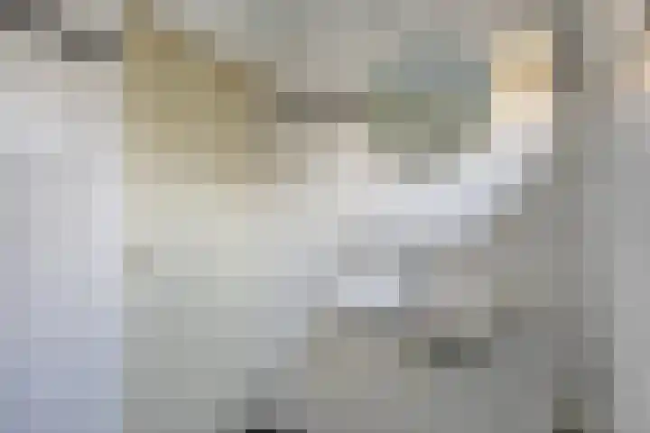 Schie 42 Zwolle thumbnail 17