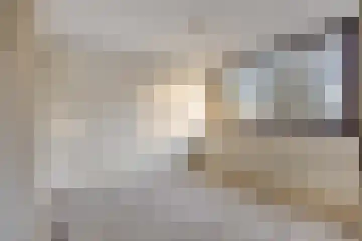 Schie 42 Zwolle thumbnail 19
