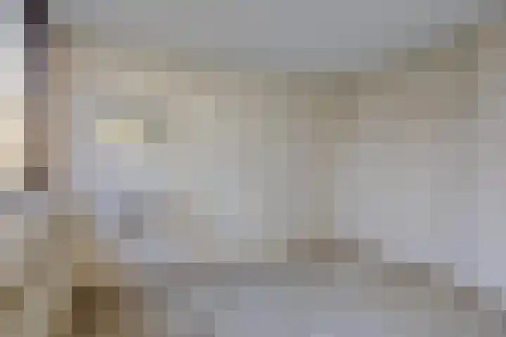Schie 42 Zwolle thumbnail 20
