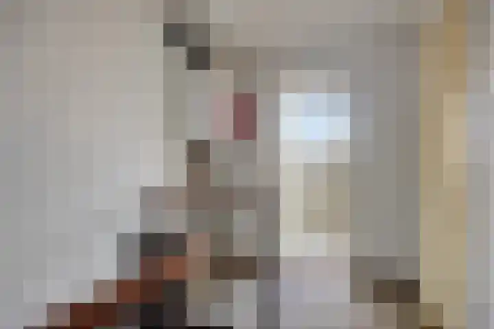 Schie 42 Zwolle thumbnail 22