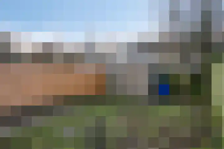 Schie 42 Zwolle thumbnail 27