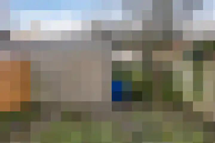 Schie 42 Zwolle thumbnail 29