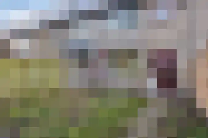 Schie 42 Zwolle thumbnail 30