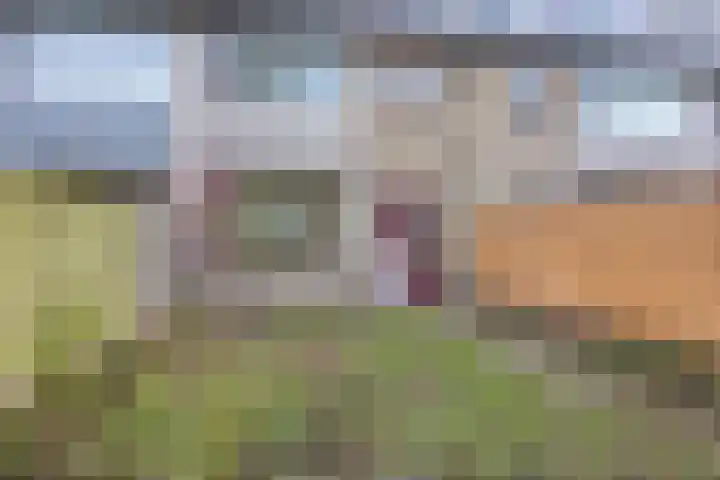 Schie 42 Zwolle thumbnail 31