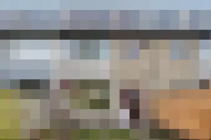 Schie 42 Zwolle thumbnail 32