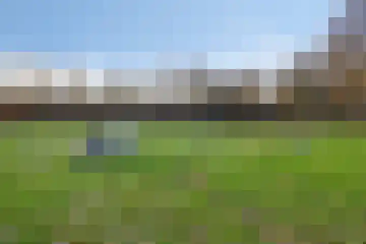Schie 42 Zwolle thumbnail 34