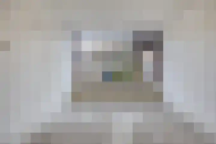 Schie 42 Zwolle thumbnail 6