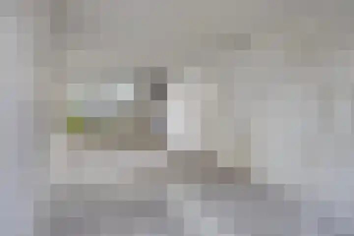 Schie 42 Zwolle thumbnail 7
