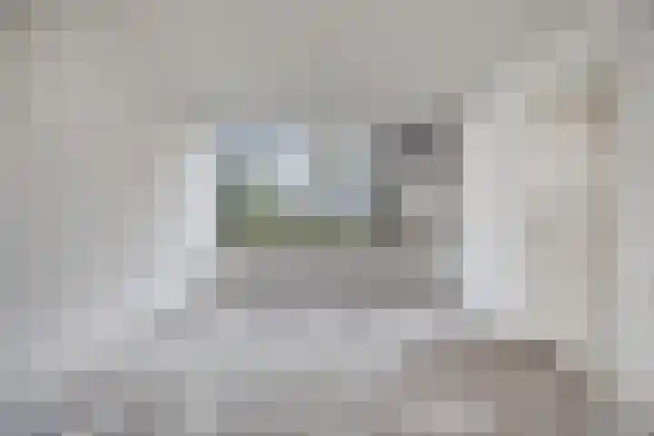 Schie 42 Zwolle thumbnail 8