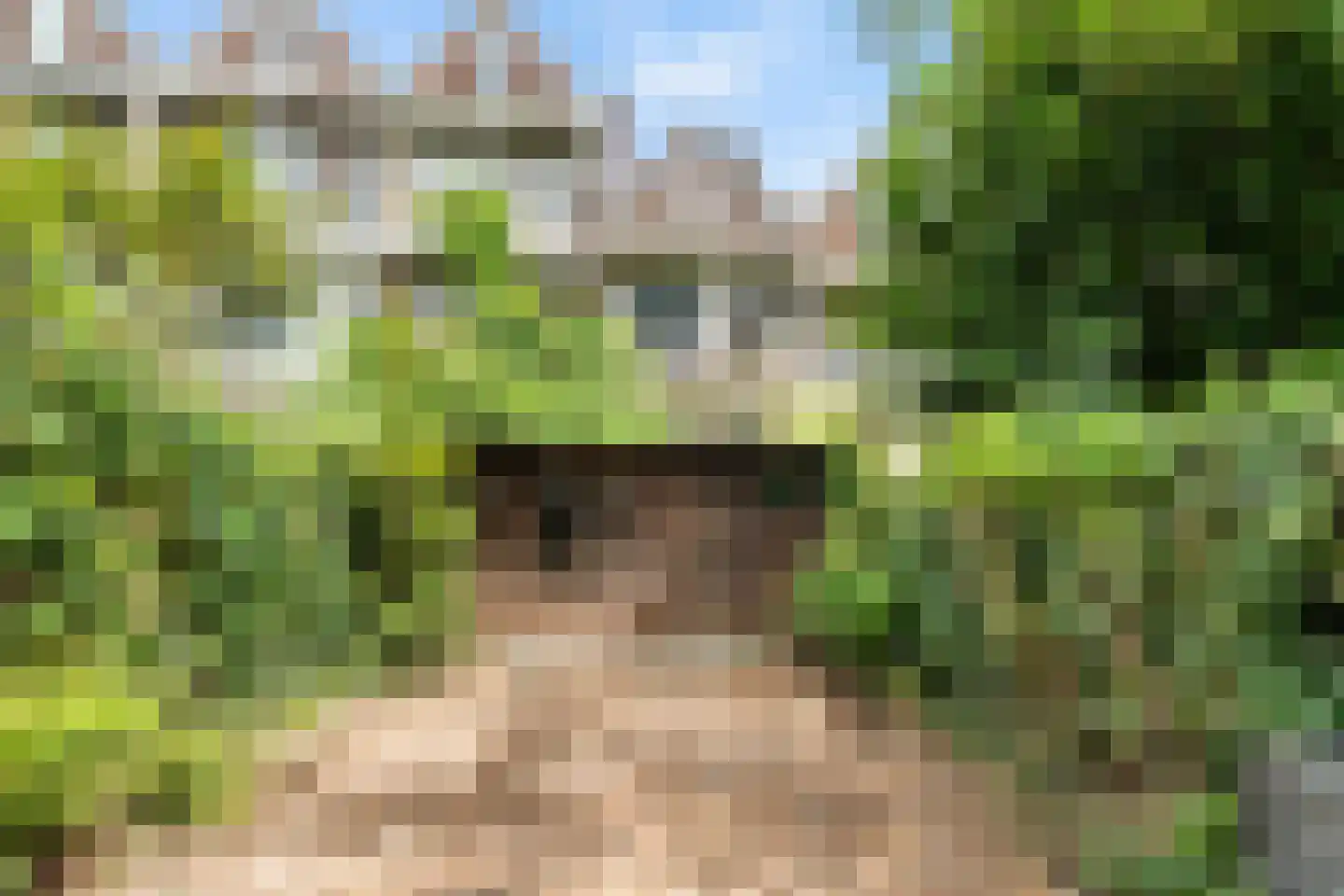 Schiebroekselaan 34 A Rotterdam thumbnail 19