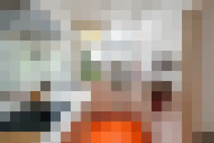 Schiebroekselaan 47 B Rotterdam thumbnail 10