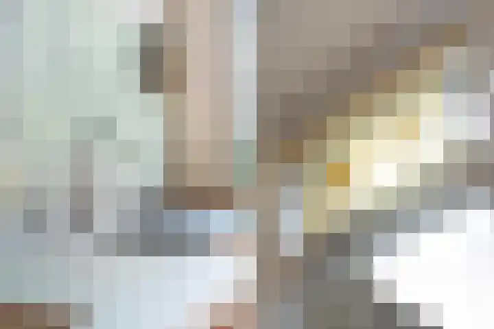 Schiebroekselaan 47 B Rotterdam thumbnail 12