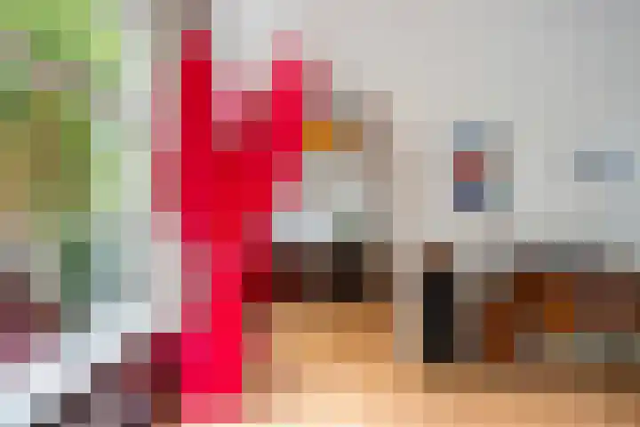Schiebroekselaan 47 B Rotterdam thumbnail 14