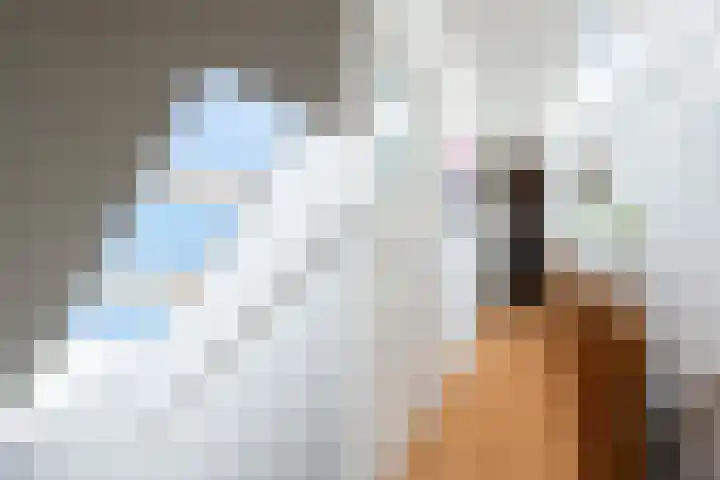 Schiebroekselaan 47 B Rotterdam thumbnail 17