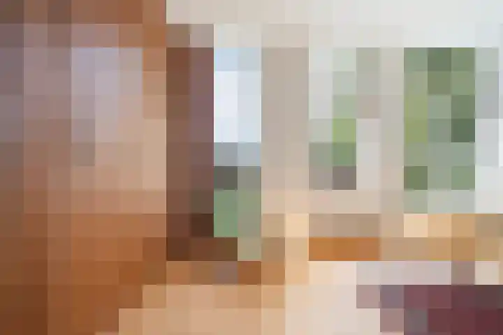 Schiebroekselaan 47 B Rotterdam thumbnail 18