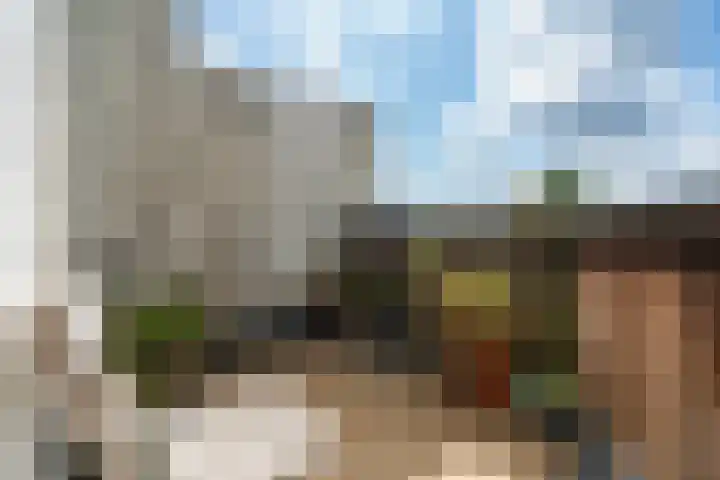 Schiebroekselaan 47 B Rotterdam thumbnail 21