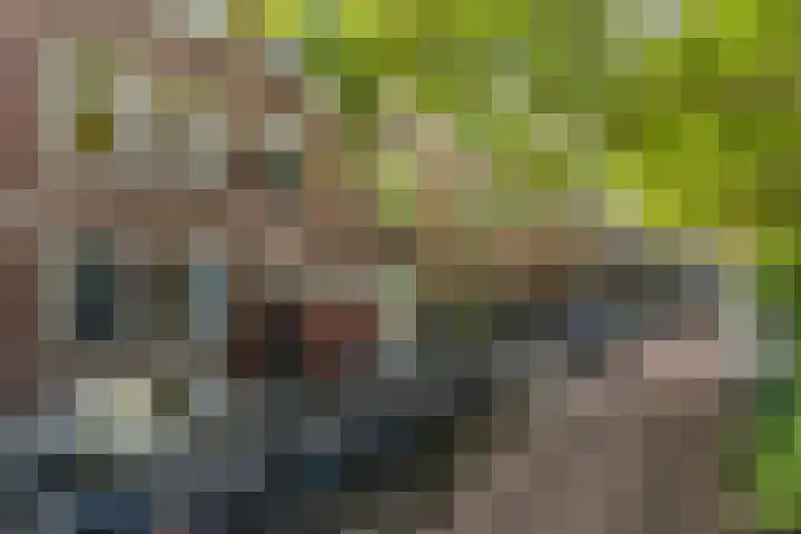 Schiebroekselaan 47 B Rotterdam thumbnail 30