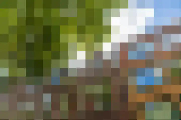 Schiebroekselaan 47 B Rotterdam thumbnail 32