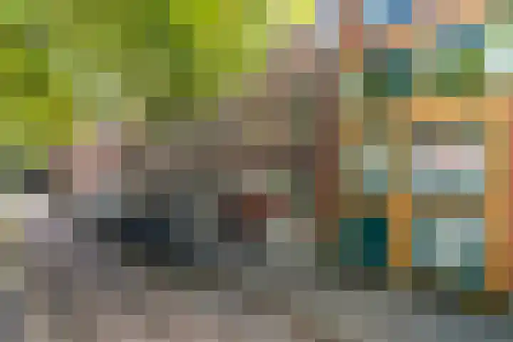Schiebroekselaan 47 B Rotterdam thumbnail 33