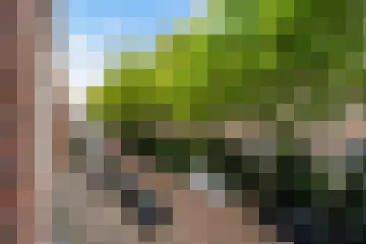 Schiebroekselaan 47 B Rotterdam thumbnail 34