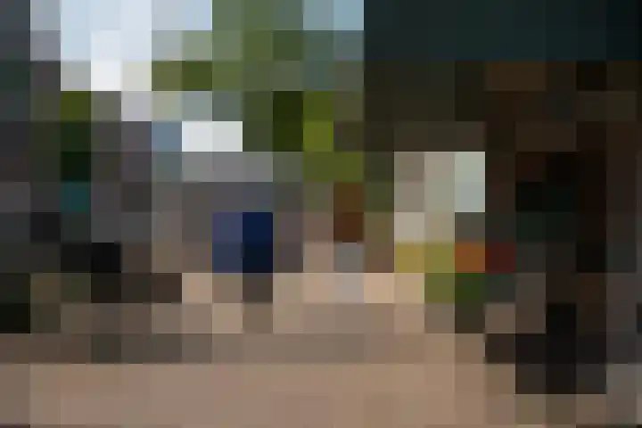 Schiebroekselaan 47 B Rotterdam thumbnail 36