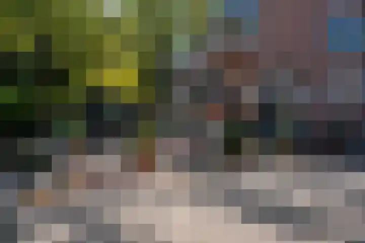 Schiebroekselaan 47 B Rotterdam thumbnail 37