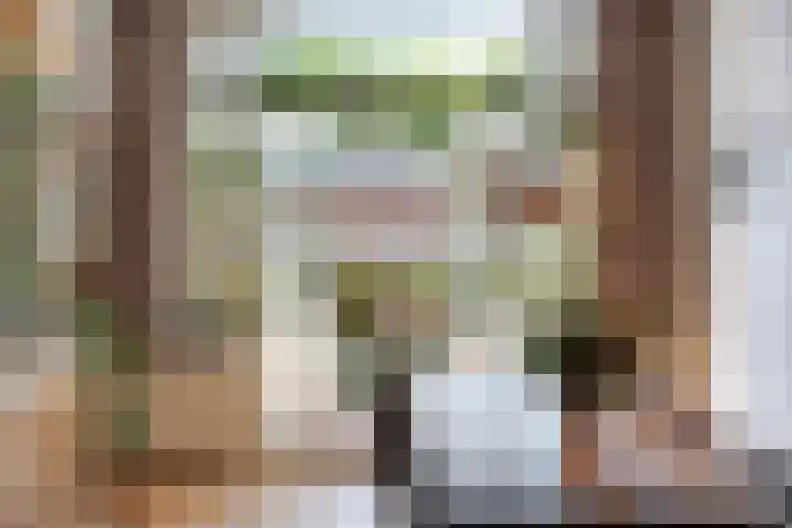 Schiebroekselaan 47 B Rotterdam thumbnail 5