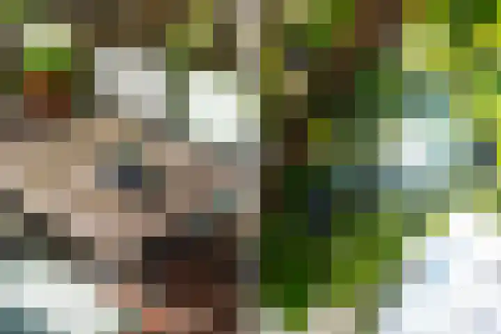 Schiebroekselaan 47 B Rotterdam thumbnail 8