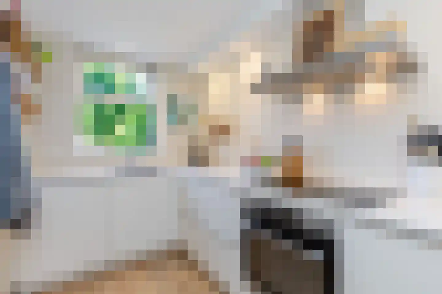 Schiebroekselaan 53 B Rotterdam thumbnail 17