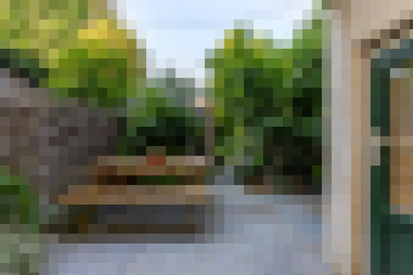 Schiebroekselaan 53 B Rotterdam thumbnail 32