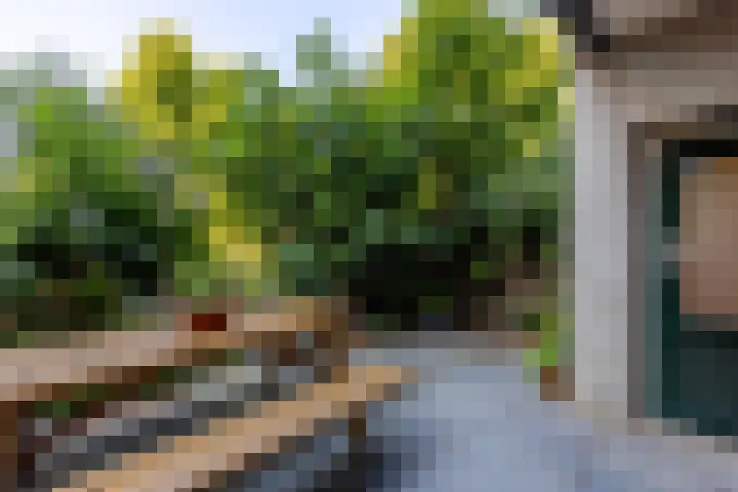 Schiebroekselaan 53 B Rotterdam thumbnail 33