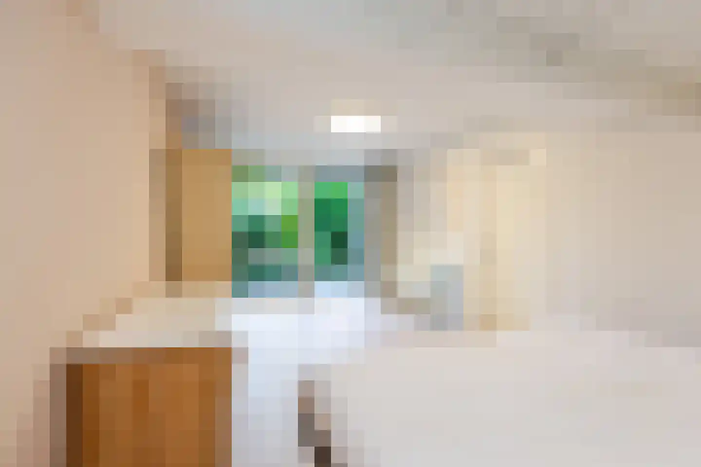 Schiebroekselaan 53 B Rotterdam thumbnail 36