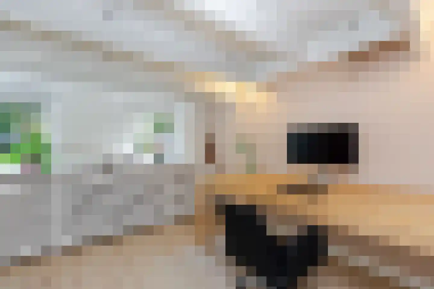 Schiebroekselaan 53 B Rotterdam thumbnail 42