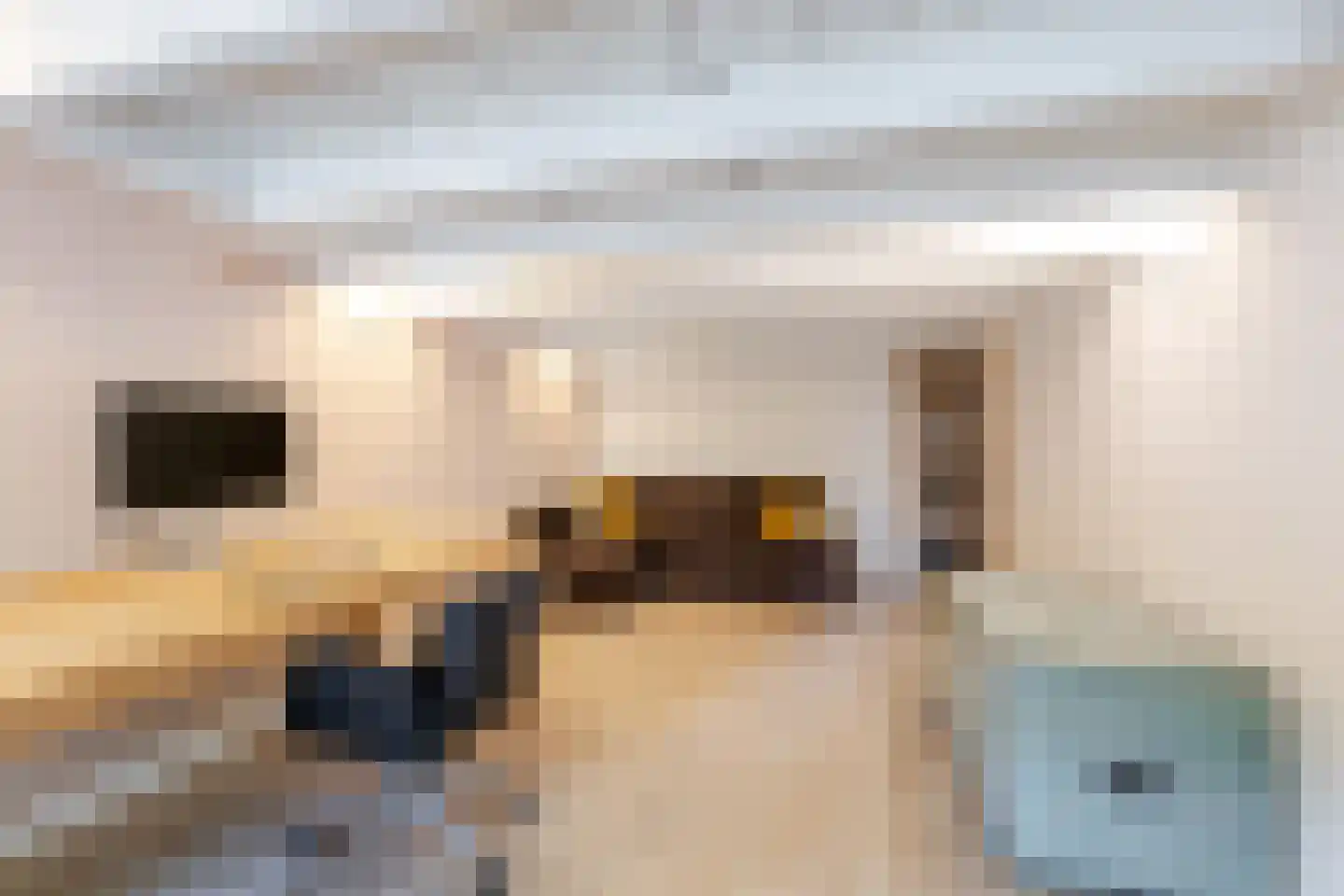 Schiebroekselaan 53 B Rotterdam thumbnail 43