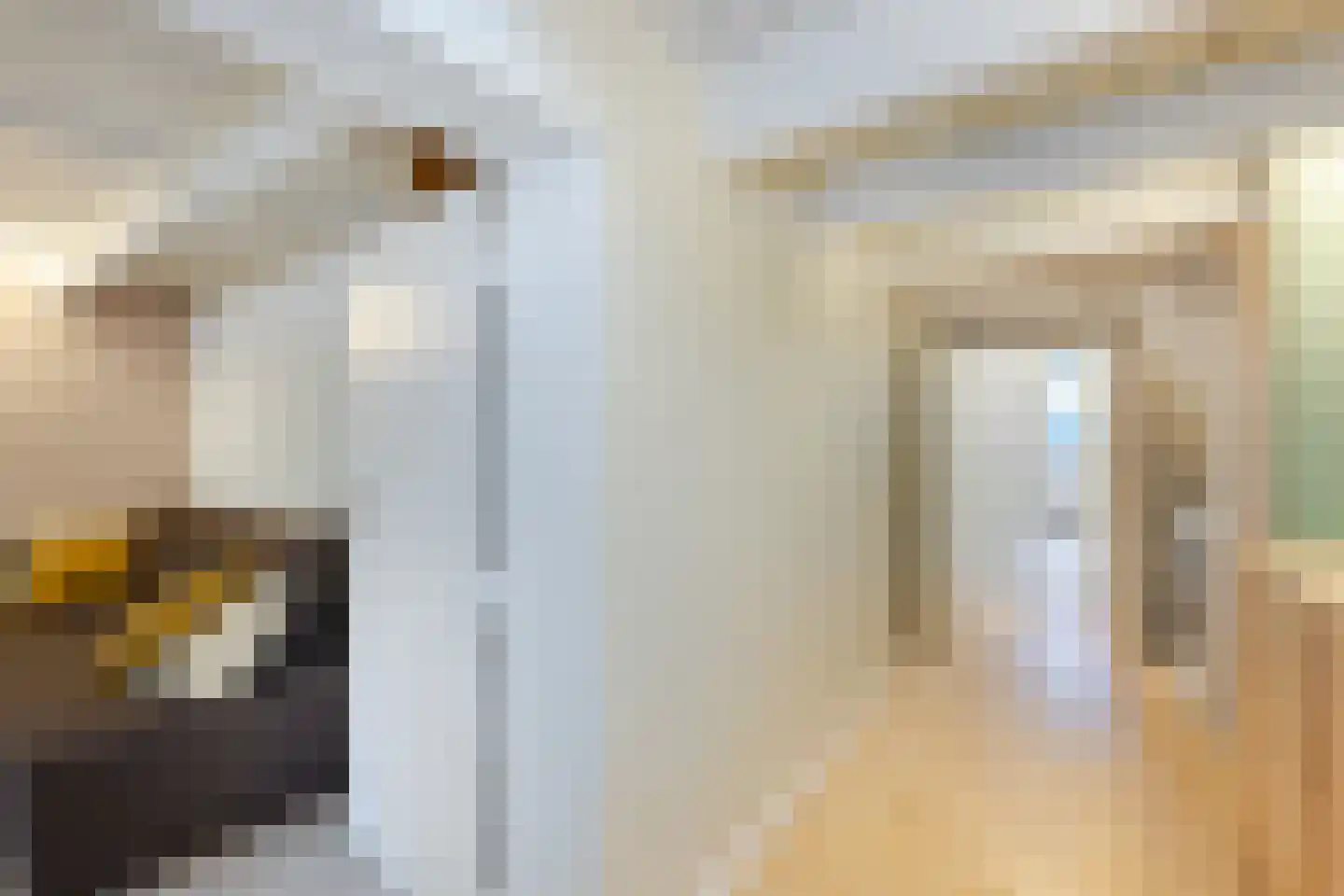 Schiebroekselaan 53 B Rotterdam thumbnail 44