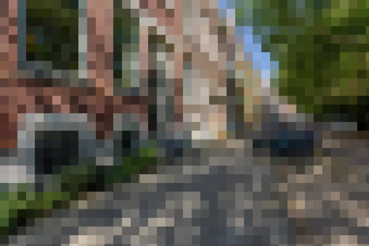 Schiebroekselaan 53 B Rotterdam thumbnail 49