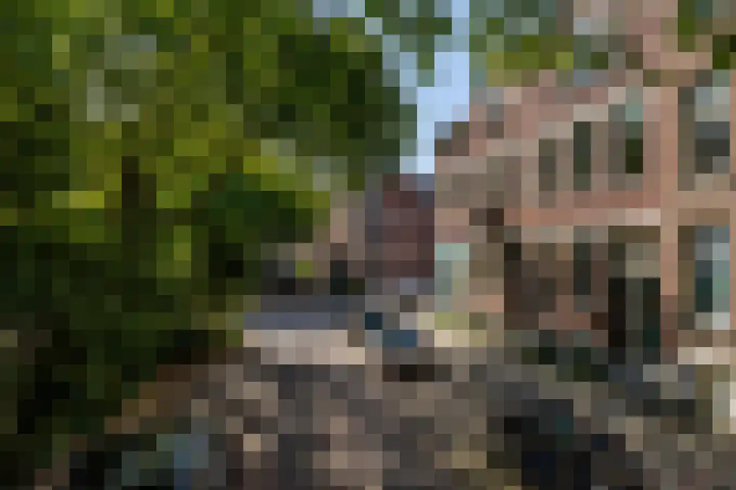 Schiebroekselaan 53 B Rotterdam thumbnail 51