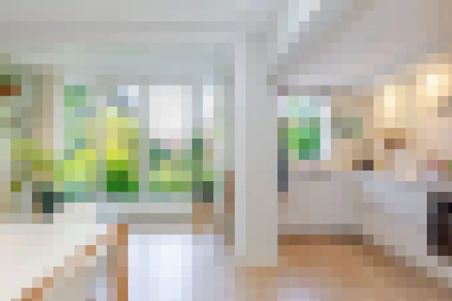 Schiebroekselaan 53 B Rotterdam thumbnail 7