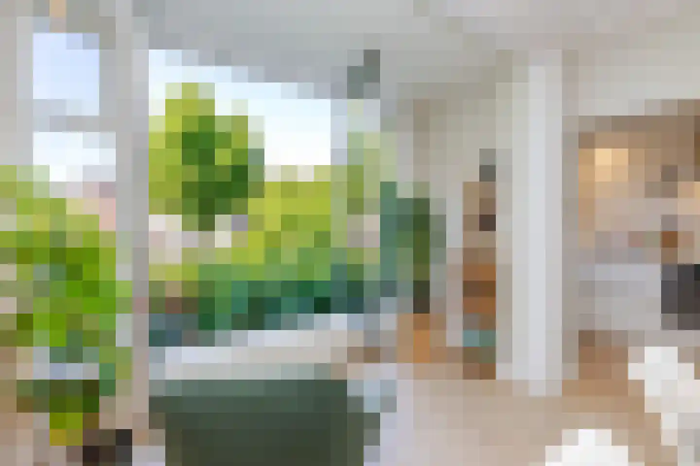 Schiebroekselaan 53 B Rotterdam thumbnail 8