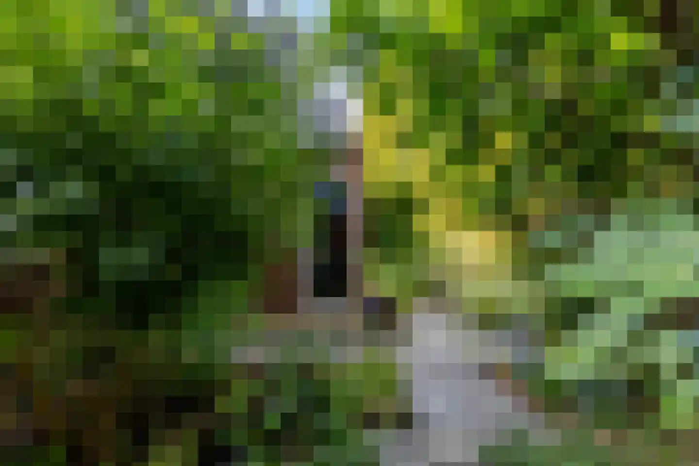 Schiebroekselaan 53 B Rotterdam thumbnail 9